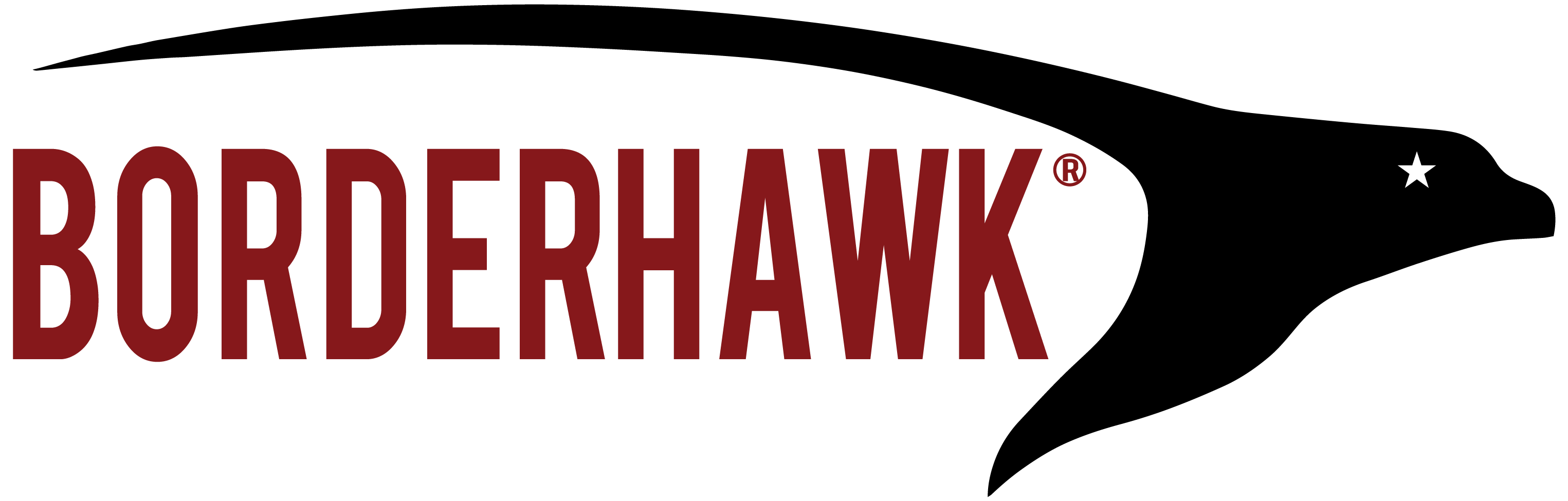 BorderHawk LLC Logo Transparent Background-1