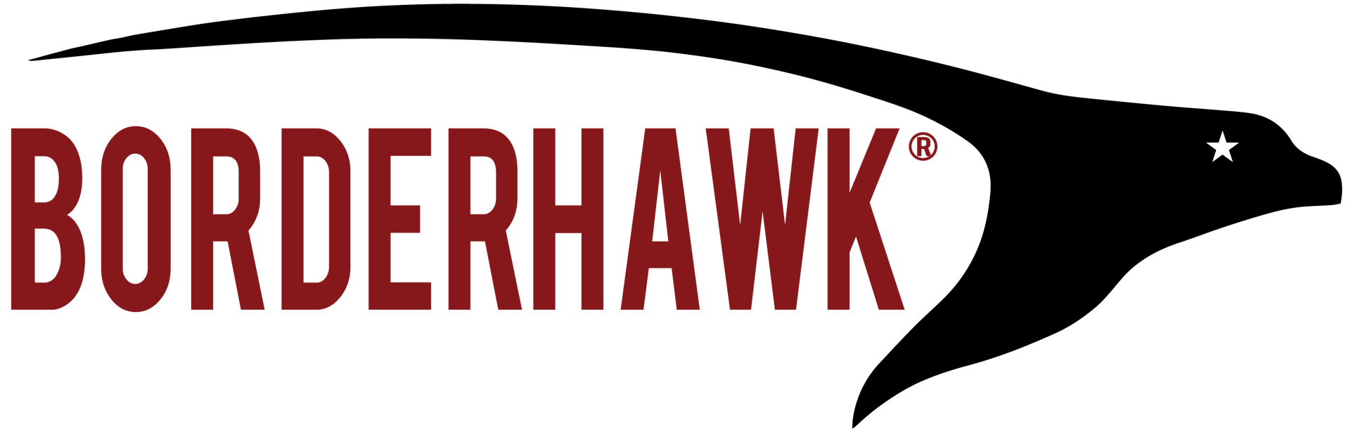 BorderHawk LLC Logo Transparent Background-2